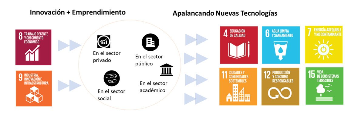 Desarrollo Sustentable