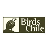 Nuestros Clientes